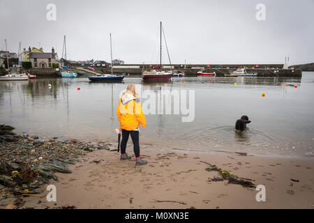 Dame en noir avec sa veste jaune Labradoodle chien sur le bord de Cemaes Harbour, Szigetszentmiklós, Anglesey, Pays de Galles Banque D'Images