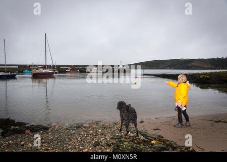 Dame en noir avec sa veste jaune Labradoodle chien sur le bord de Cemaes Harbour, Szigetszentmiklós, Anglesey, Pays de Galles Banque D'Images