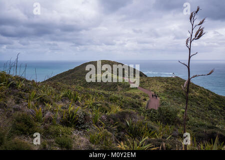 Vue sur la côte du cap Reinga, Nouvelle-Zélande Banque D'Images