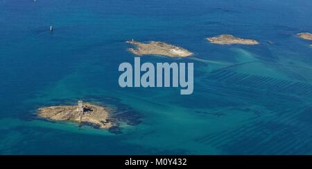 France,Finistere,Carantec, baie de Morlaix, l'île Black,le phare (vue aérienne) Banque D'Images