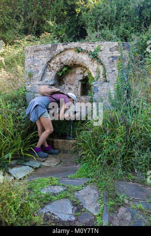 Source à un sentier de Milina à Laykos ,Grèce Pilio Banque D'Images