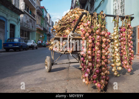 Un oignon panier attend dans les rues de La Havane, Cuba Banque D'Images