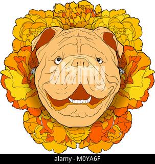 Hand drawn funny bulldog portrait avec des fleurs jaunes. Tête de chien coloré vecteur en face de pivoines. Illustration de Vecteur