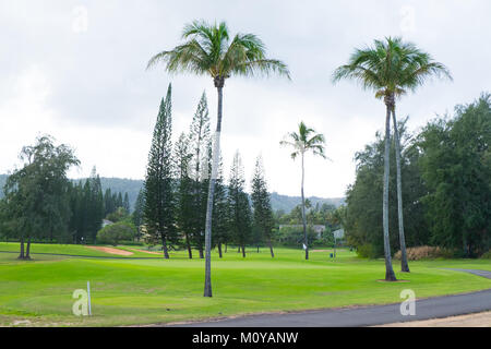 Turtle Bay Golf Course Banque D'Images