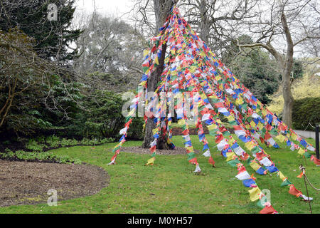 Multi Coloured Bunting / drapeaux triangulaires dans le vent au Jardin Botanique Banque D'Images