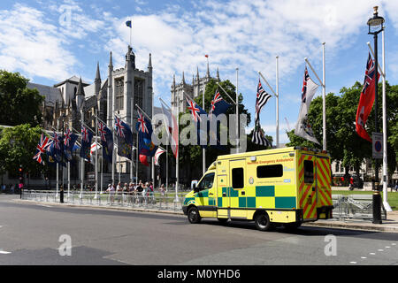 Drapeaux en place du Parlement, Londres, Royaume-Uni. Banque D'Images