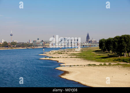 Allemagne, Cologne, faible niveau de la rivière du Rhin, le 6 septembre 2013, les banques du Rhin dans Cologne-Poll, vue de la Rheinau Harbour et l'cathed Banque D'Images