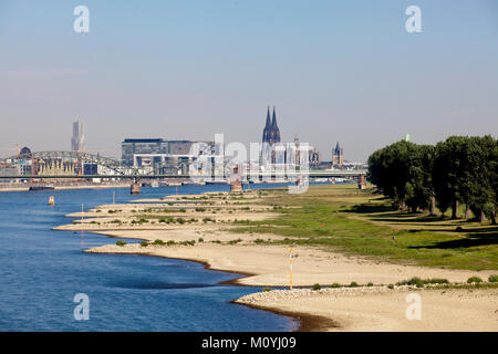 Allemagne, Cologne, faible niveau de la rivière du Rhin, le 6 septembre 2013, les banques du Rhin dans Cologne-Poll, vue de la Rheinau Harbour et l'cathed Banque D'Images