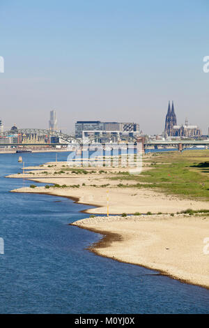 Allemagne, Cologne, faible niveau de la rivière du Rhin, le 6 septembre 2013, les banques du Rhin dans Cologne-Poll, vue de la Rheinau Harbour et l'cathed Banque D'Images
