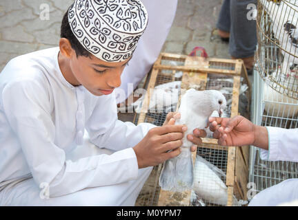 Nizwa, Oman, 24 mars 2017 : l'homme omanais pigeons dans un marché de vente Banque D'Images