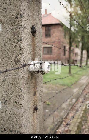 Cracovie, Pologne - 7 août 2017 : détail de barbelés électrifiés en camp d'extermination nazi d'Auschwitz - Birkenau mémorial de l'Holocauste Banque D'Images