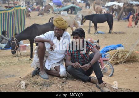 Camel Pushkar Fair Banque D'Images