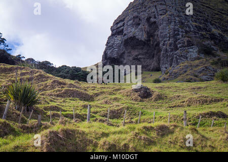 Verdure robuste pic rocheux et les collines, les spiritueux Bay, Nouvelle-Zélande Banque D'Images
