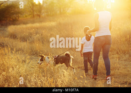 La mère et le fils sont la marche avec un chien dans la campagne au coucher du soleil. Banque D'Images