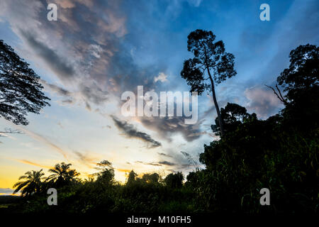 Coucher de soleil spectaculaire à Tabin Wildlife Reserve, Sabah, Bornéo, Malaisie Banque D'Images