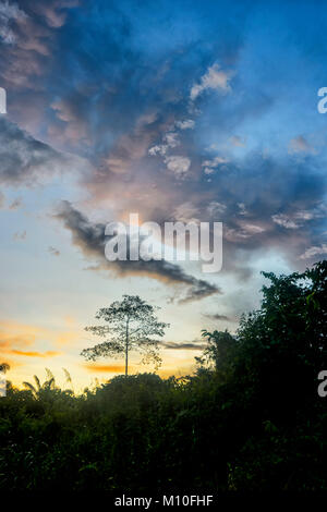 Coucher de soleil spectaculaire à Tabin Wildlife Reserve, Sabah, Bornéo, Malaisie Banque D'Images