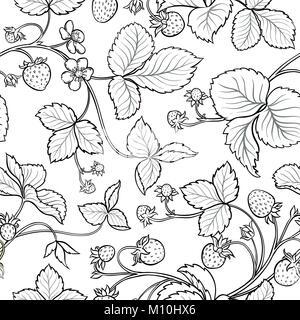 Fraisier seamless pattern sur fond blanc Illustration de Vecteur