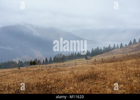 Belle vue avec le brouillard du matin au début du printemps, dans les Carpates, Banque D'Images