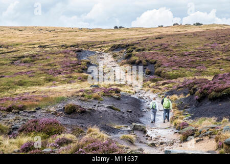 Les randonneurs à pied un sentier bien usé sur la lande sur Kinder Scout, Derbyshire Peak District National Park, Angleterre, RU Banque D'Images
