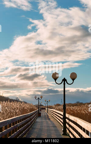 Trottoir de bois dans les roseaux dans la lumière du soleil, une planche en bois, promenade de lampadaires Banque D'Images