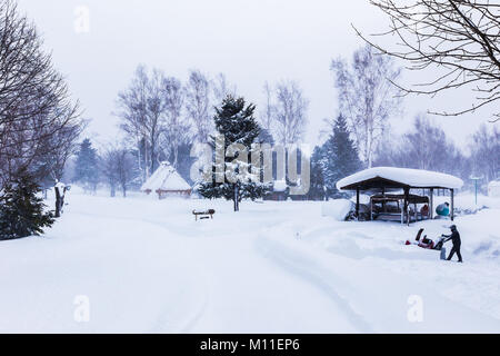 Hokkaido, Japon - 28 décembre 2017 - Un homme non identifié exploite sa souffleuse à neige dans un parc public plein de neige blanc épais à Hokkaido, Japon le Dece Banque D'Images