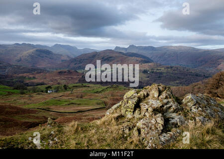 Avis de Black Crag, Tarn Hows, Lake District, Cumbria, Angleterre Banque D'Images