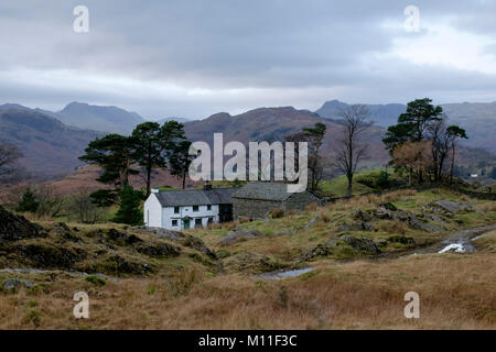 Avis de Black Crag, Tarn Hows, Lake District, Cumbria, Angleterre Banque D'Images