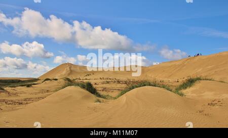 Rubjerg Knude unique de dunes, dans Jylland, Danemark. Banque D'Images