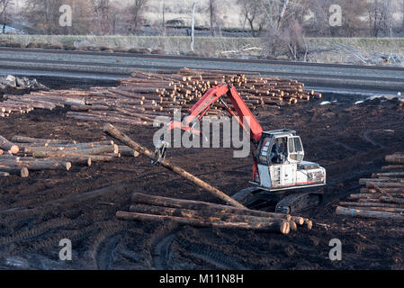 Chargeur journal journaux déménagement dans le parc à grume de bleu Mt Produits de bois dans la région de Pendleton, Oregon. Banque D'Images