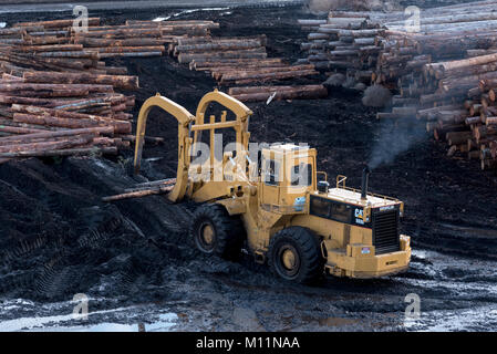 Déménagement chargeur sur roues de sciage dans le journal de chantier Mt bleu produits en bois d'Oregon, Pendleton. Banque D'Images