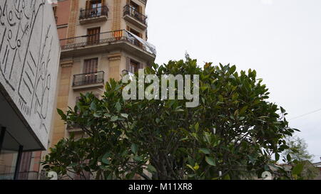 Barcelone, Espagne, maisons près de la Rambla en hiver, Décembre 2017 Banque D'Images