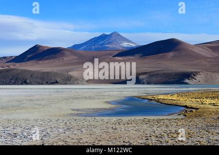 Laguna Santa Rosa avec les volcans Nevado Ojos del Salado,National,Parc Nevado Tres Cruces Región de Atacama, Chili Banque D'Images