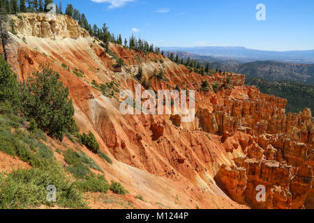 Une vue à partir de 8904' point de Ponderosa Ponderosa Canyon dans le Parc National de Bryce, UT Banque D'Images