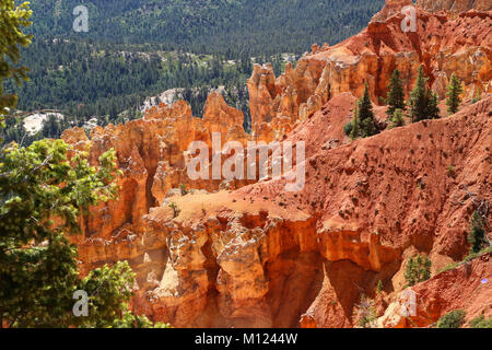 Une vue à partir de 8904' point de Ponderosa Ponderosa Canyon dans le Parc National de Bryce, UT Banque D'Images