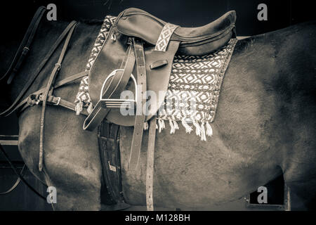 Polo pony prêt à jouer dans un match de polo à Kirtlington park Polo Club, l'Oxfordshire. Banque D'Images