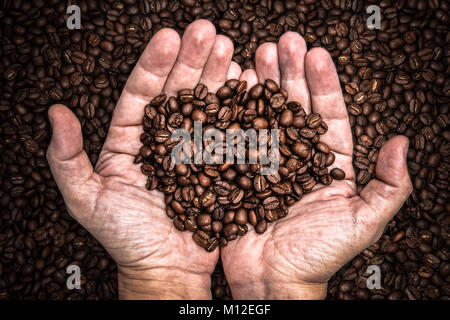 Mains tenant roasted Coffee beans Banque D'Images