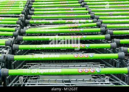 Une rangée de Co-operative supermarket trollies. Banque D'Images