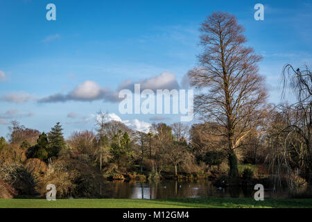 Couleur Janvier à Wakehurst Place Banque D'Images