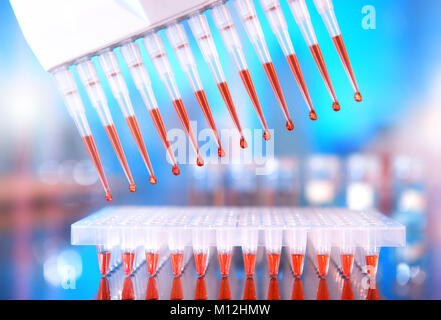 Arrière-plan scientifique. Pipettes multicanaux rempli de mélange de réaction pour amplifier l'ADN dans les puits en plastique. Cette image est tonique. Banque D'Images