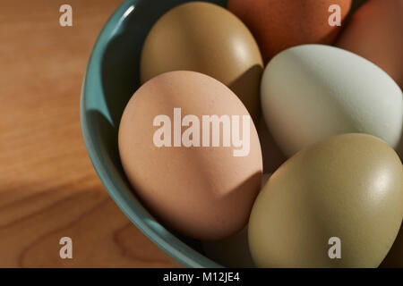 Les oeufs de poules multicolores d'héritage Banque D'Images