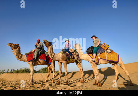 Randonnée chamelière dans le désert de Thar, Rajasthan, Inde Banque D'Images