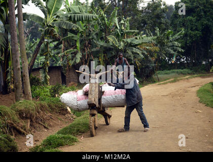 Chukudu est un vélo traditionnel en bois utilisées pour le transport de marchandises. Banque D'Images