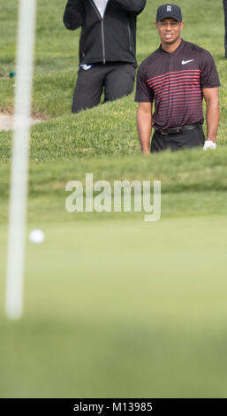 San Diego, USA . 25 janvier, 2018. Tiger Woods ne regarde la balle de golf sur un sandtrap pendant l'assurance agriculteurs Ouvrir à San Diego, Californie le Jeudi, Janvier 25, 2018 (Rishi Deka). Credit : Rishi Deka/Alamy Live News Banque D'Images