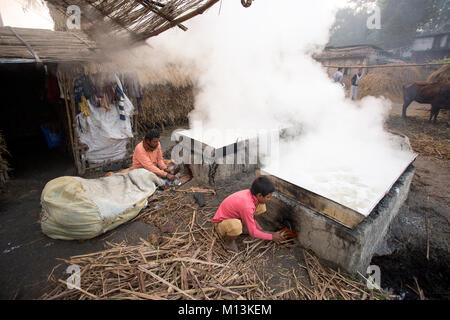 Ouvrier bangladais Babu, 12, les furoncles la sève de l'arbre à préparer date palm moyens. Banque D'Images