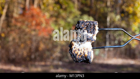 Deux des guimauves sur une brochette qui étaient dans le feu de camp trop long Banque D'Images