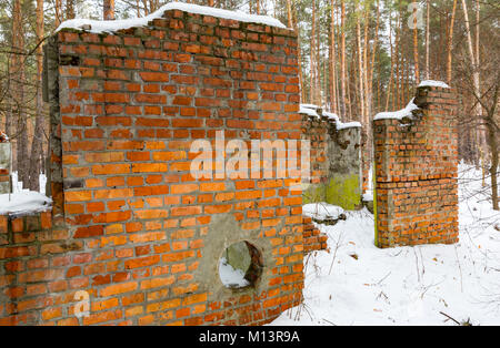 Ruine de l'immeuble en hiver forêt de pins Banque D'Images