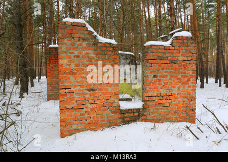 Vieille ruine de maison dans la forêt d'hiver Banque D'Images