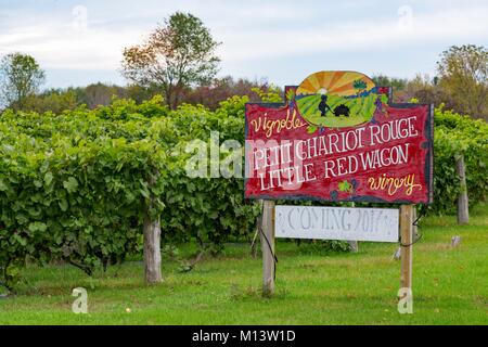 Canada, Province de Québec, Outaouais, région du Pontiac, Clarendon, Le Petit chariot rouge vignoble Banque D'Images