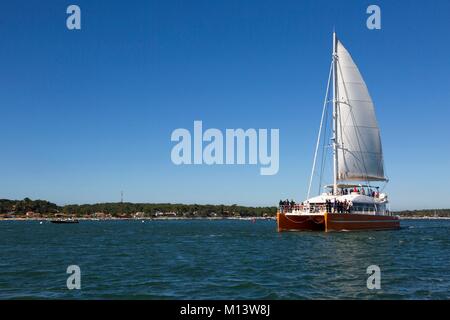 France, Gironde, bassin d'Arcachon, l'Ile aux Oiseaux, le catamaran de croisière Côte d'Argent Banque D'Images