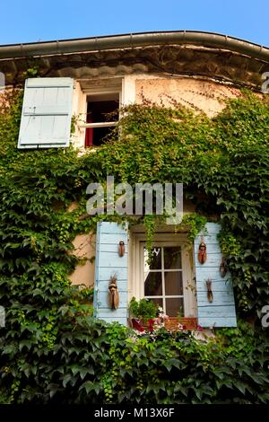 La France, Vaucluse, Le Parc Naturel Régional du Luberon (Parc Naturel Régional du Luberon), Lourmarin, étiqueté Les Plus Beaux Villages de France (Les Plus Beaux Villages de France), fenêtre encadrée par Ivy Banque D'Images